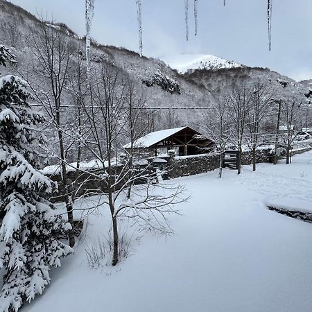 Vikendice Biocinovici Villa Kolašin Eksteriør billede
